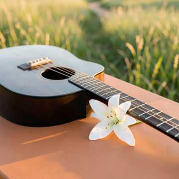 Música para Ângela campo