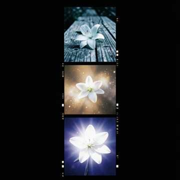 Música para Mariane Vitoria