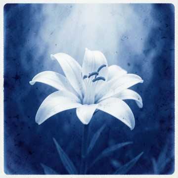 Música para Izadora