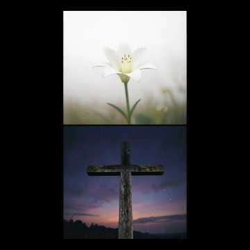 Música para Caio Antônio