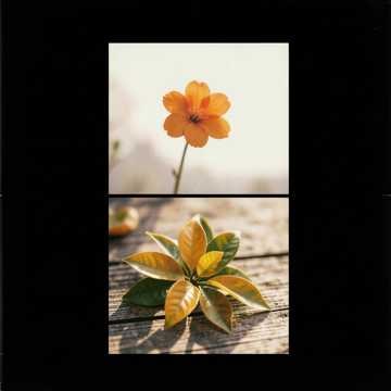 Música para Ana Clara