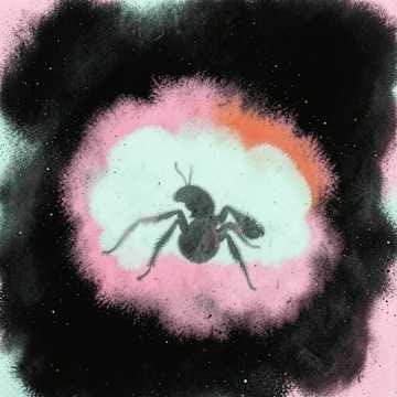 Música para João Paulo