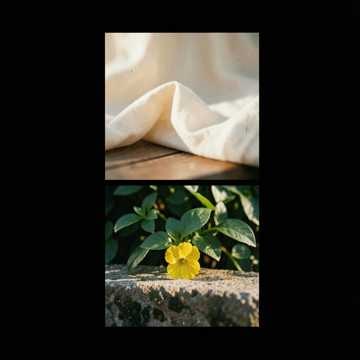 Música para Radassa vitoria