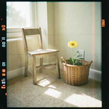 Música para Beatriz