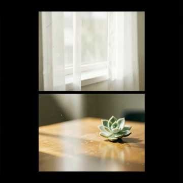 Música para Carol