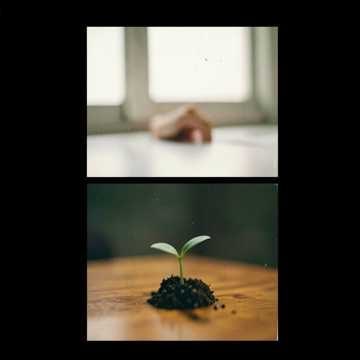 Música para Davyd Junio