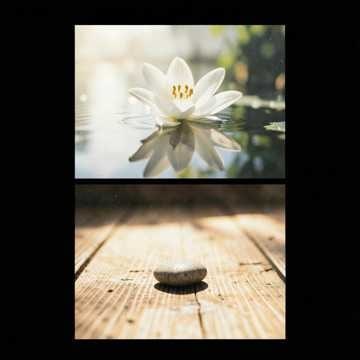 Música para Bernardo