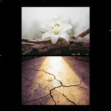 Música para Ana Vitória