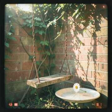 Música para João E Maria