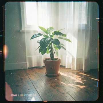 Música para Alana
