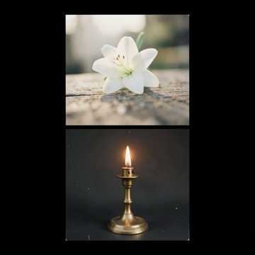 Música para Davi Luis