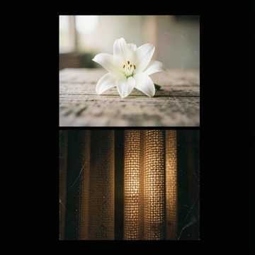Música para Ana