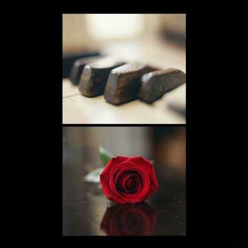 Música para Laura