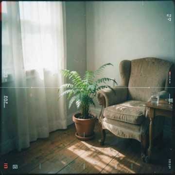 Música para Sophia