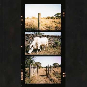 Música para Meu Príncipe Artur
