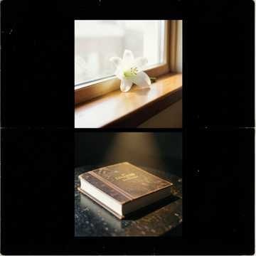 Música para Miguel