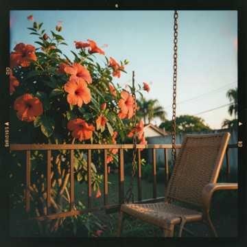 Música para Maria Rejane