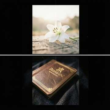 Música para Maria Ester