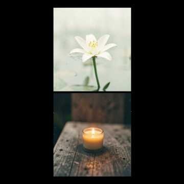 Música para Nara