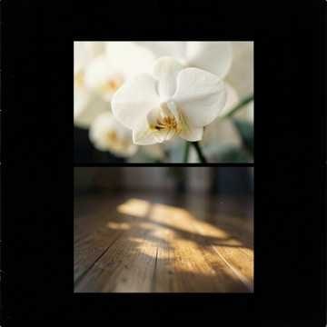 Música para Eduardo