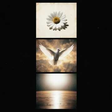 Música para Heloisa