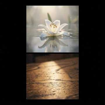 Música para Akyo & Ayumi