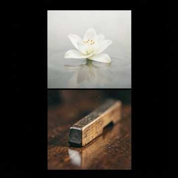 Música para Alice Lobato
